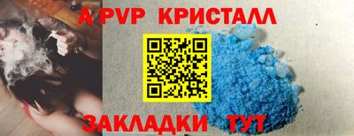СК Будённовск