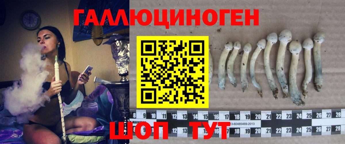 наркотики  Вход с VPN  Псилоцибиновые грибы MAGIC MUSHROOMS  Трёхгорный  Псилоцибиновые грибы прущие грибы 