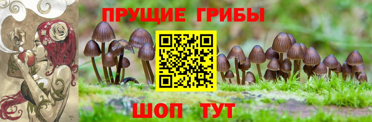 Галлюциногенные грибы мухоморы Трёхгорный